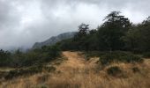 Percorso Marcia Cambon-et-Salvergues - Col de Fontfroide - Les Bourdils - Photo 4