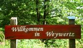 Trail Walking Bütgenbach - 4950 Weywertz -Robertville - Weywertz 16 Km 30-07-2022 - Photo 1