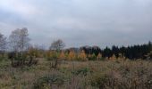 Trail Walking Aywaille - de Tlff à Sur le Tige -  autour du bois de Warnoumont - Photo 15