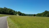 Randonnée Cyclotourisme Pont-de-Poitte - Pont de Poitte - Poncin - Photo 5