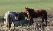 Trail Walking Olne - Les grès de Vaux: Olne Vaux-sous-Olne Froidbermont - Photo 12