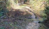 Tour Wandern Vendôme - Forêt de Vendôme - Bois de l'Oratoire - Photo 13