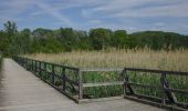 Tour Zu Fuß Unbekannt - Naturlehrpfad obere Lobau (Saltenstraße Rundweg) - Photo 5