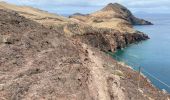 Tour Wandern Caniçal - PR8 Madère Madeira - Photo 9