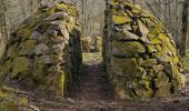 Randonnée Marche Chapdes-Beaufort - Le chemin fais'art +++ - Photo 12