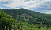 Tour Wandern Val-d'Aigoual - Bonperrier - col de l'Homme Mort - Photo 2