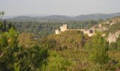 Trail Walking La Barben - PF-La Barben - Vallon de l'Apothicaire - Photo 3