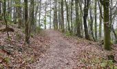 Tocht Te voet Ludwigsburg - DE-SAV Rotes Kreuz, Lemberg-Poppenweiler - Photo 3