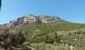 Tour Wandern Roquevaire - Lascours Mont du Marseillais - Photo 3