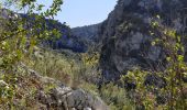 Trail Walking Évenos - Les Gorges du Destrel depuis le  Broussan - Photo 1