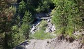 Trail Walking Faucon-de-Barcelonnette - FAUCON - Photo 18