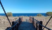 Tocht Stappen Argelès-sur-Mer - argeles - collioure / retour par la mer  - Photo 16