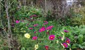 Randonnée Marche Gembloux - Promenade du bois de Grand-Leez et son étang  - Photo 13