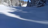 Randonnée Raquettes à neige La Pesse - L'Embossieux - Les Planes - Photo 2