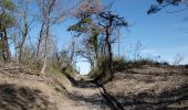 Excursión Senderismo Puy-Saint-Martin - Puy-Saint-Martin - Crête de Chevrière - La Pigne  - Photo 10