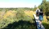 Trail Walking Malmedy - Les fagnes en été - Photo 11