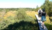 Excursión Senderismo Malmedy - Les fagnes en été - Photo 11