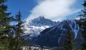 Tour Wandern Chamonix-Mont-Blanc - CHAMONIX... depuis l' Arveyron jusqu'à la Floria.  - Photo 5