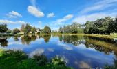 Trail Walking Treffendel - treffendel - Photo 5