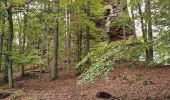 Trail Walking Philippsbourg - Hanau variante - Photo 5