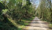 Trail Walking Guise - guise - Photo 10