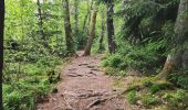Trail Walking Eupen - Promenade dans la fagne de Brackvenn   - Photo 8