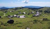 Randonnée Marche Kamnik - Velika Planina Slovénie randonnée - Photo 5