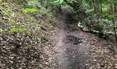 Tocht Stappen Seraing - Randonnée des 3 bunkers - Photo 6