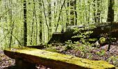 Tour Zu Fuß Tübingen - Geologischer Lehrpfad - Photo 4