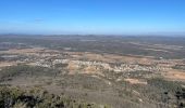 Percorso Marcia Pourcieux - Crêtes du Mont Aurélien - Photo 3