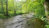 Tour Wandern Tellin - Marche ADEPS 10KM00 à  Bure. - Photo 17