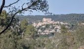 Tour Wandern Gréoux-les-Bains - Les Antennes par les Tronnes  - Photo 3