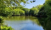 Tour Wandern Clamart - Ballade digestive autour des étangs de la forêt de Meudon  - Photo 7