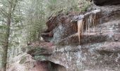 Randonnée Marche Cleurie - cleurie-la charmes-roches du thin-col du singe - Photo 5