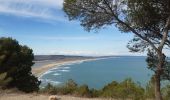 Trail Walking Leucate - la franqui - phare du cap de leucate / retour par la falaise et la plage  - Photo 4