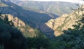 Trail Walking Prévenchères - Gorges du Chassezac au départ de la Garde guérin  - Photo 3