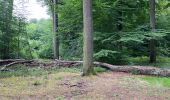 Trail Walking Auderghem - Oudergem - Rouge cloître notte o mattino  - Photo 6