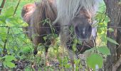 Tour Wandern Valorbiquet - St Cyr du Ronceray/Pretreville  - Photo 5