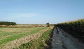 Tour Wandern Dalhem - dalhem -  mons Bombaye  - Photo 3