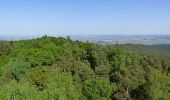 Tour Zu Fuß Forst an der Weinstraße - Wachenheim Rundweg Nr. 6 - Photo 3