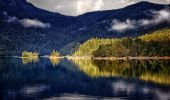 Tour Zu Fuß Grainau - Eibsee Rundwanderweg - Photo 4