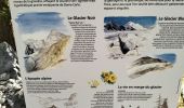 Tour Wandern Vallouise-Pelvoux - 05-pre-Mme-Carle-refuge-glacier-blanc-10km690m - Photo 13