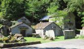 Tour Zu Fuß Pieve Vergonte - A39 - Megolo di Mezzo - Alpe Ventolaro - Photo 4