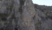 Tocht Noords wandelen Saint-Agnan-en-Vercors - pas de chabrinel et tour de la tête de faisan - Photo 3