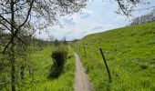 Trail Walking Écaussinnes - Ecaussinne un saut dans le temps - Photo 12