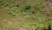 Randonnée Marche Cedros -  caldeira Faial - Photo 10