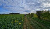 Randonnée Marche Mettet - De Stave à Biesmerée - Photo 2