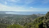 Tocht Mountainbike Cogolin - Cogolin - Cavalaire - La Molle - Photo 2