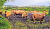 Tour Wandern La Hague - Séjour Cotentin Etape 4 Biville - Les Pieux - Photo 4