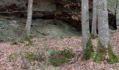 Tour Wandern Waldbillig - mullerthal - Photo 1